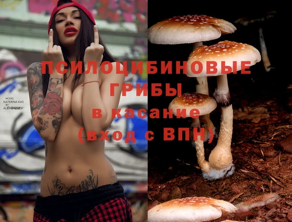 МДПВ Абинск