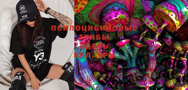 МДПВ Абинск