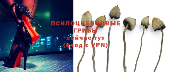 ГАЛЛЮЦИНОГЕННЫЕ ГРИБЫ Абаза