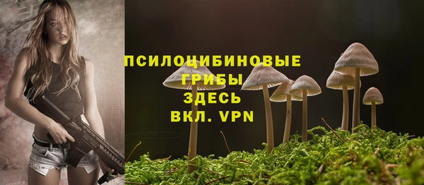 ПСИЛОЦИБИНОВЫЕ ГРИБЫ Абдулино