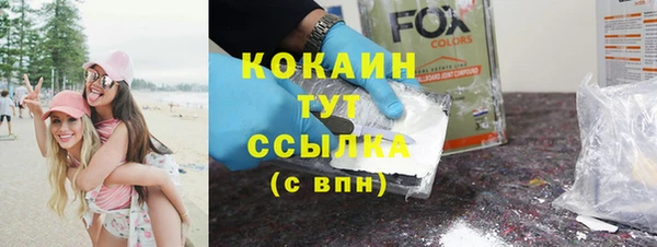 ГАЛЛЮЦИНОГЕННЫЕ ГРИБЫ Абаза