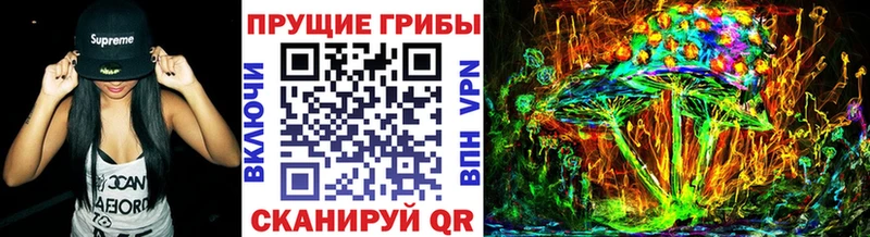 Псилоцибиновые грибы прущие грибы  Алапаевск 