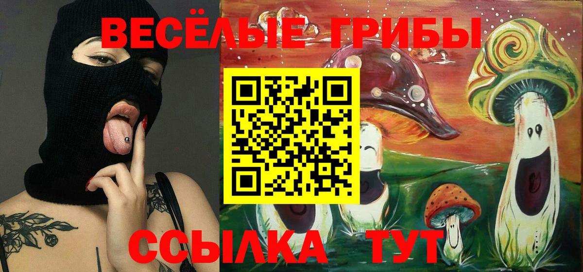 Галлюциногенные грибы Magic Shrooms  Псилоцибиновые грибы прущие грибы  Алапаевск  Вход с VPN 