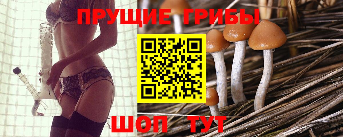 Галлюциногенные грибы мухоморы Алапаевск